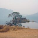 Ranthambore Lake 31
