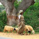 Village lady 4