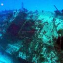 Ship Wreck Lady Elliot 50